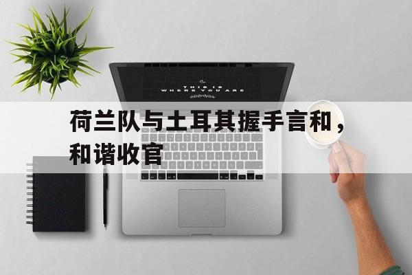 荷兰与土耳其的比赛